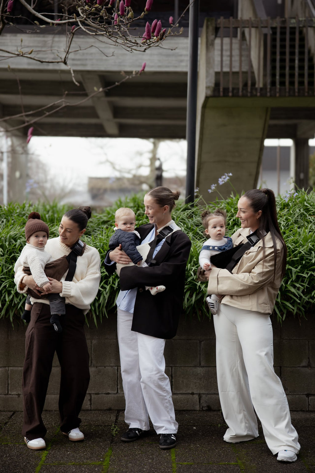 Chocolate Toddler Carrier