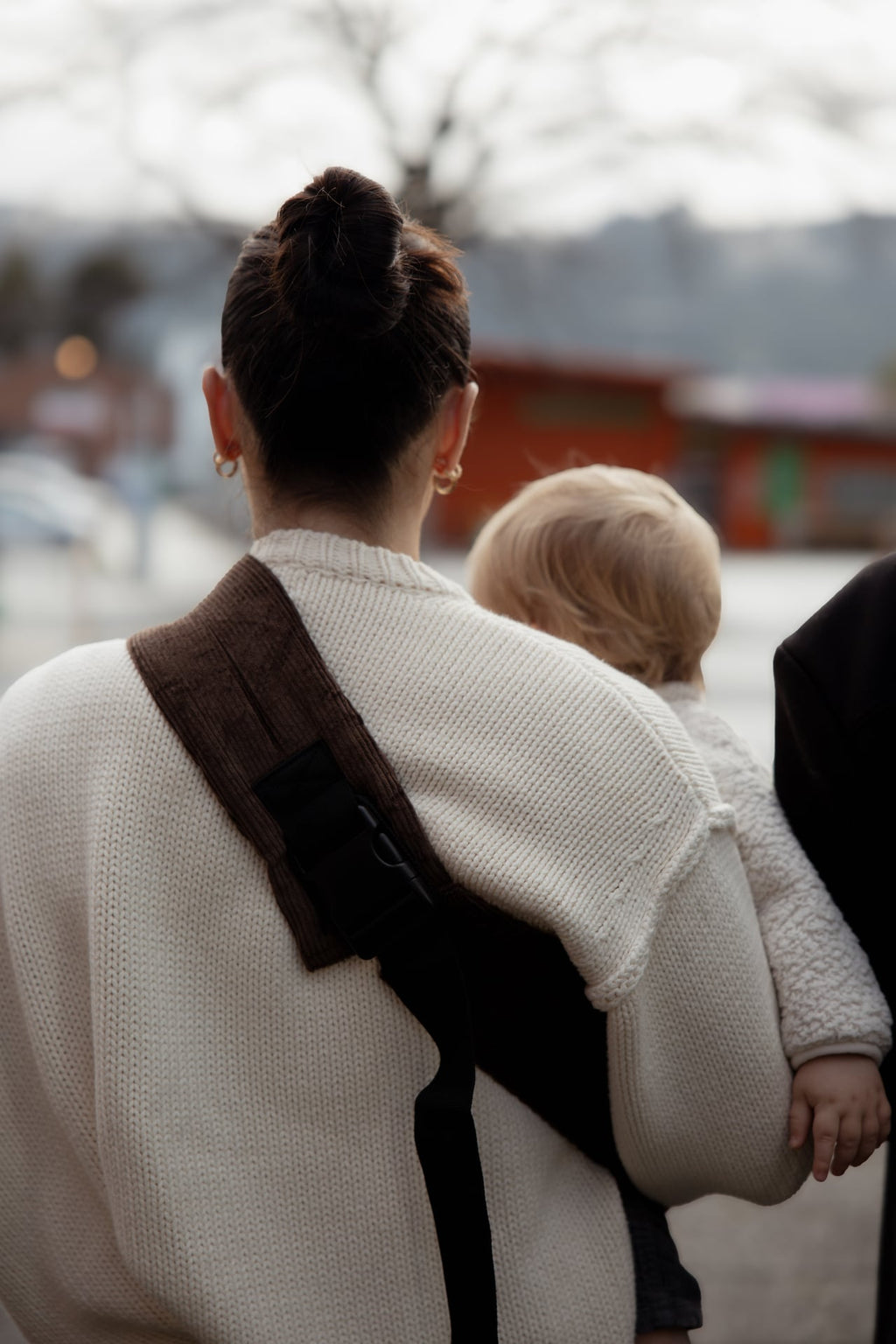 Chocolate Toddler Carrier